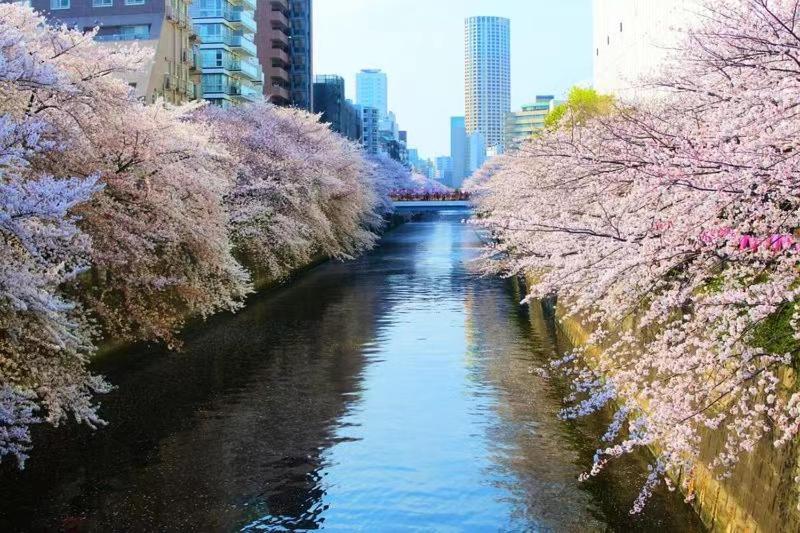 Apartamento Meguro House Close To Meguro River Tokio